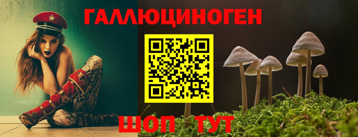 Галлюциногенные грибы Magic Shrooms  Вход с VPN  цены   Новозыбков 